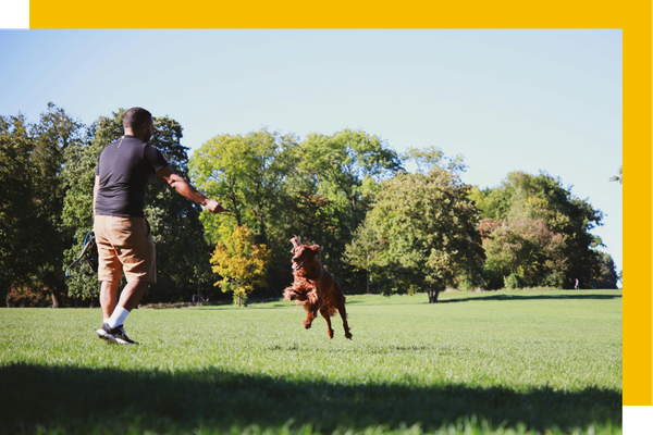 person playing in backyard with dog