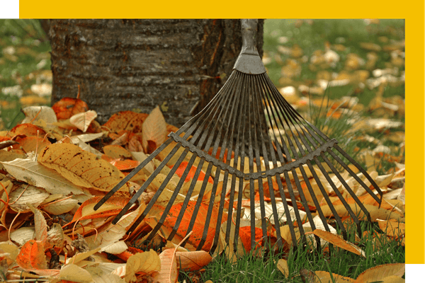 raking leaves
