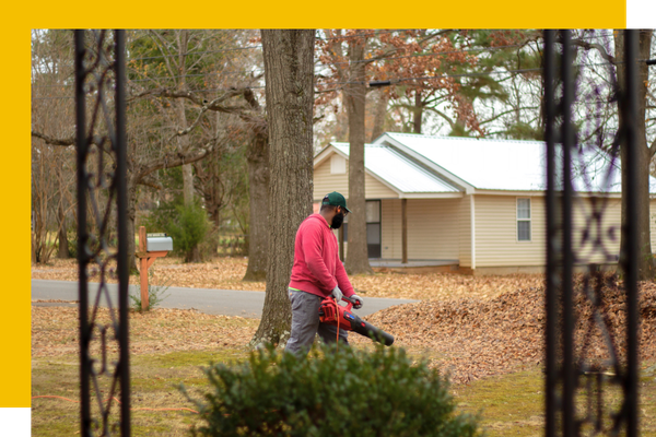 leaf blowing a lawn