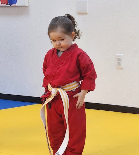 Karate Kid 4.jpg