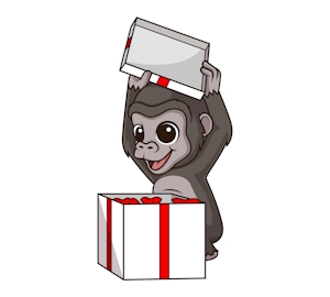 BirthdayMonkey300.jpg