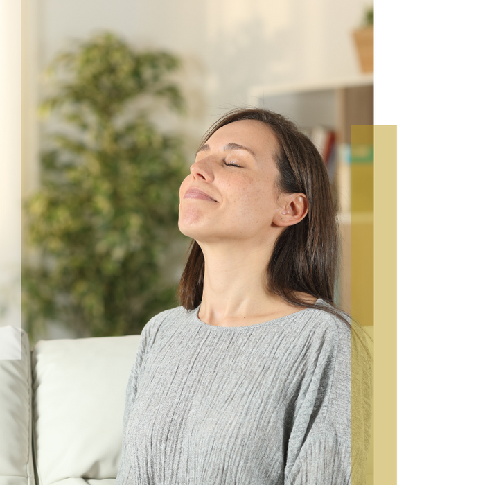 duct repair image 1 Dog has blending leg with lady.png