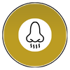 ac icon 3.png