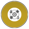 settings icon with the different seasons represented around it