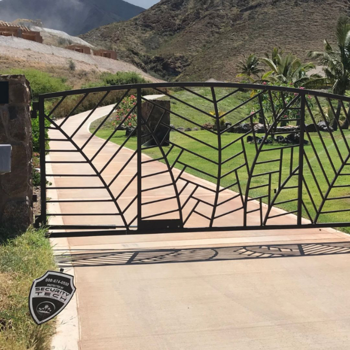 From Entry Gates to Access Control2.jpg