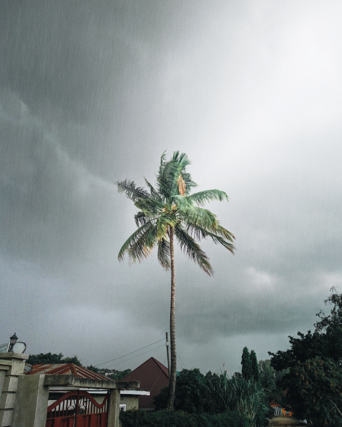 Tropical Storm