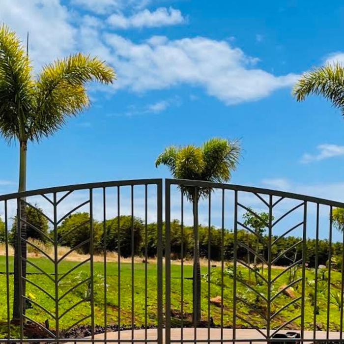 electric gate outside of a property with palm trees