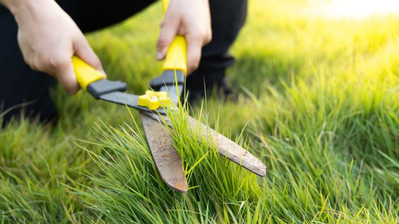 Tips for Finding the Best Lawn Care Service_FT-IMG.jpg