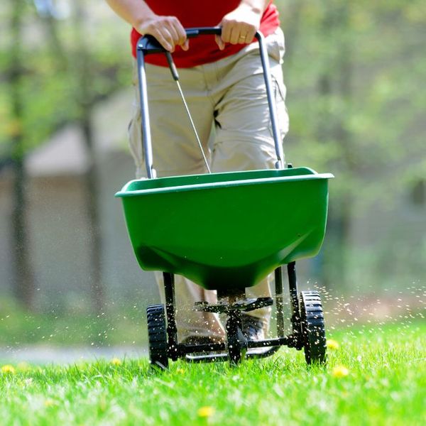 person fertilizing the lawn