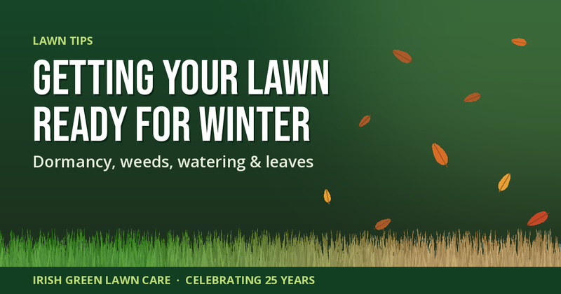 Getting your lawn ready for winter: Bermuda grass turning from green to dormant tan with falling leaves