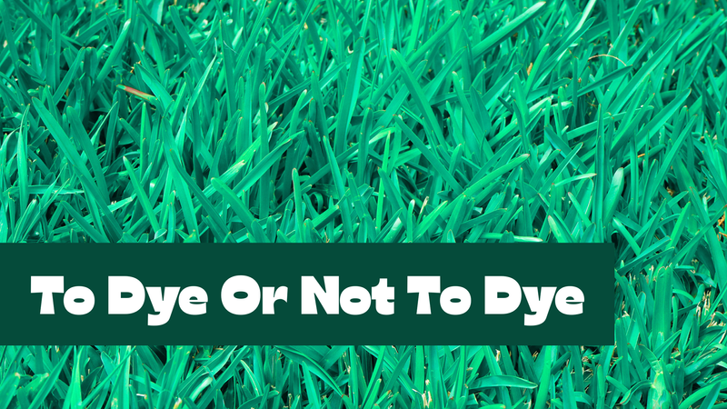 To Dye Or Not To Dye 2026.png