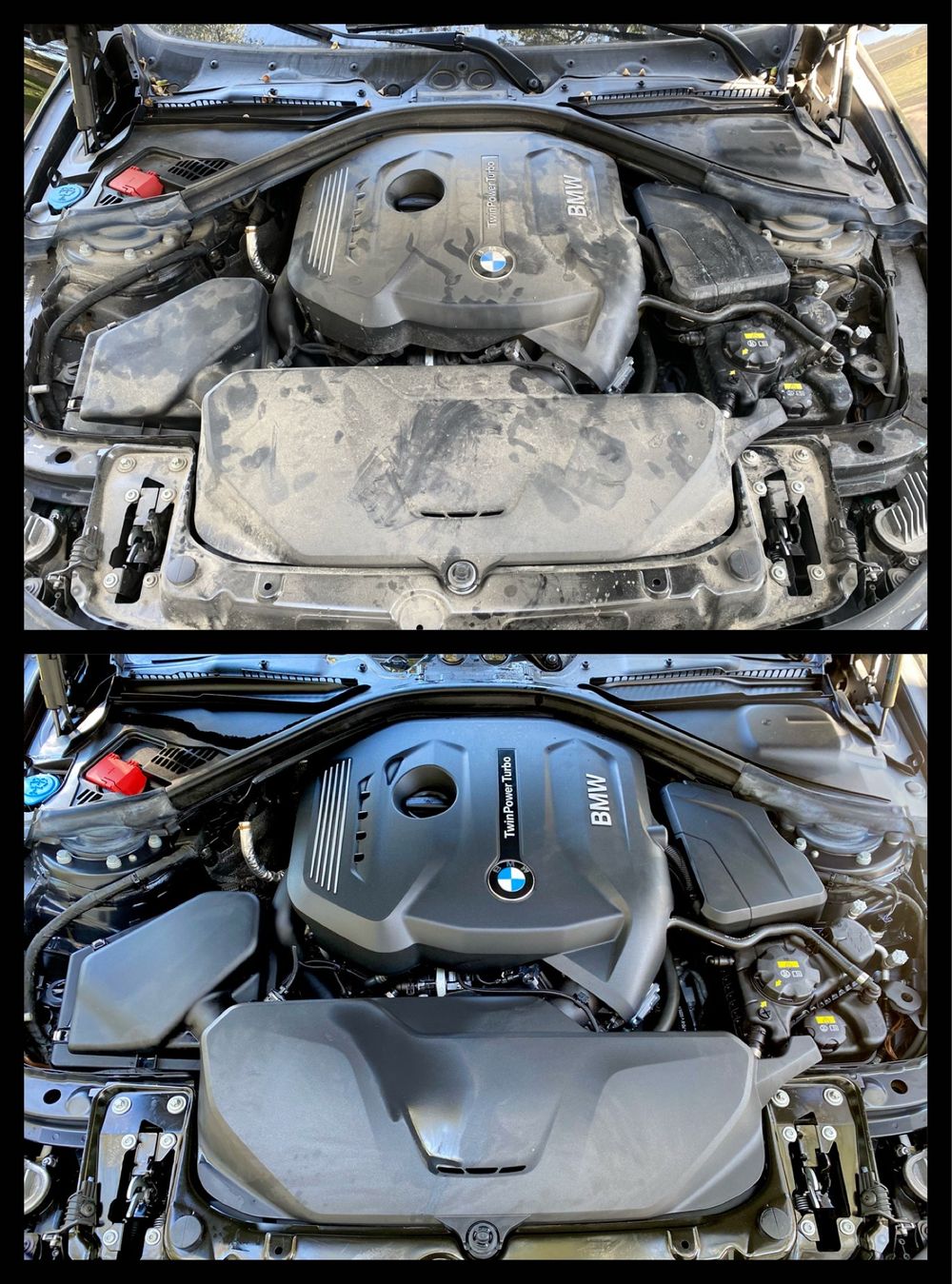 BMW Engine Bay Detailing 5.JPG