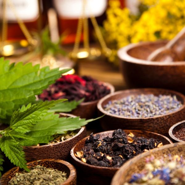 traditional herbal medicine