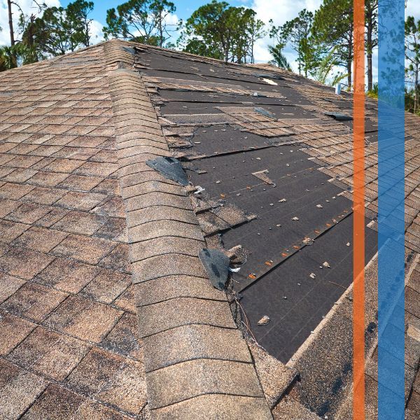 shingles missing on a roof