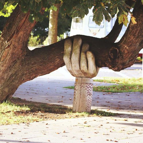 hand sculpture supporting tree