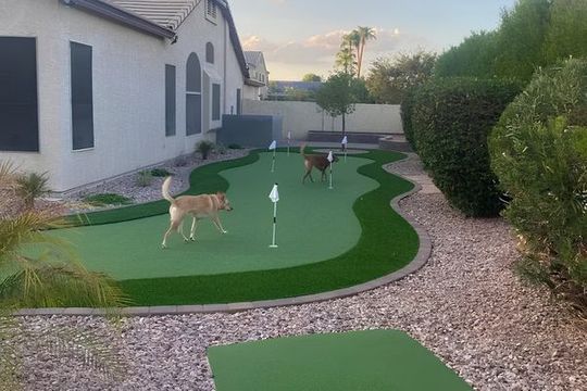 Turf and Artificial Grass