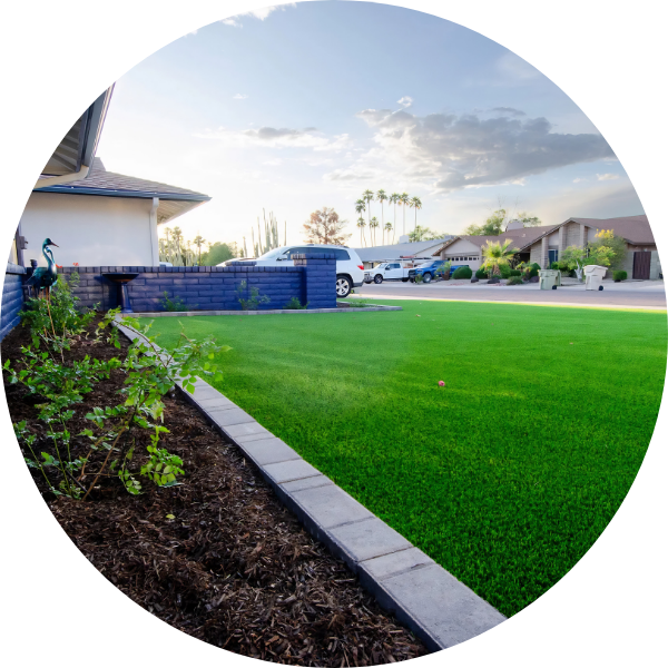 RealGrassSod-1.png
