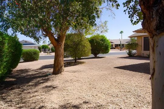 Trees, Shrubs & Plants