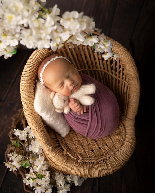 Newborn baby in chair with teddy bear and flowers 083A1877.jpg