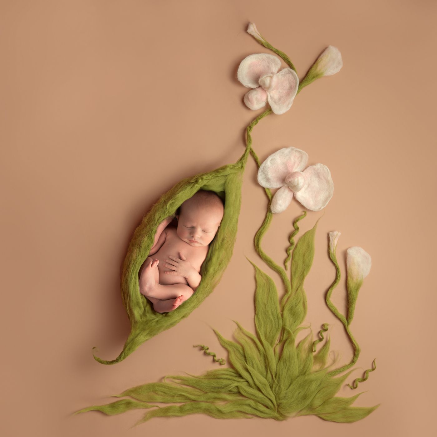 felt pea pod.jpg