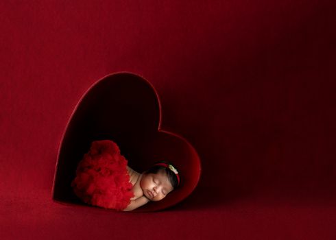Valentine Newborn Photography Murfreesboro TN Kelly Saxon Photography