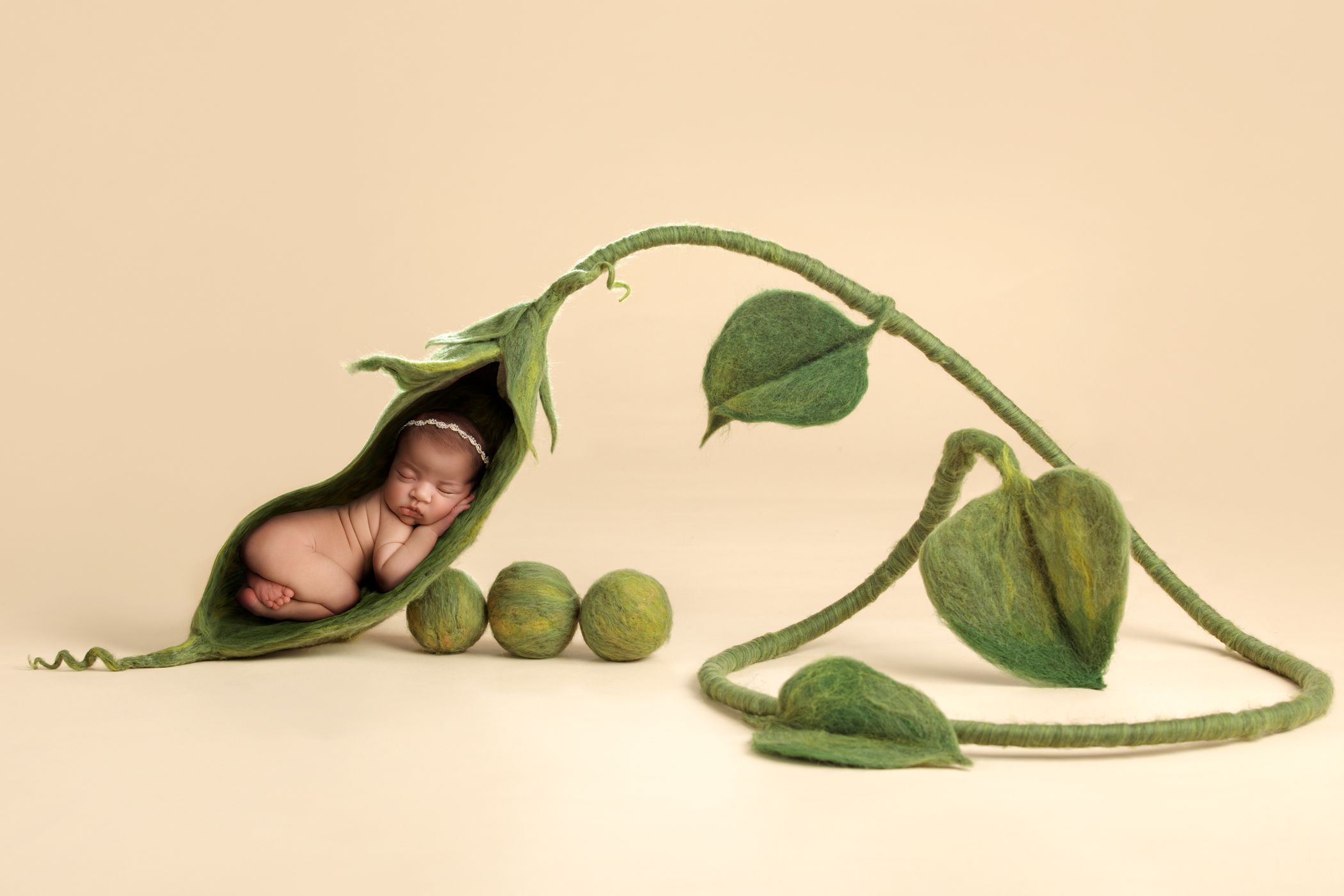 Goodsell Newborn Pea Pod.jpg