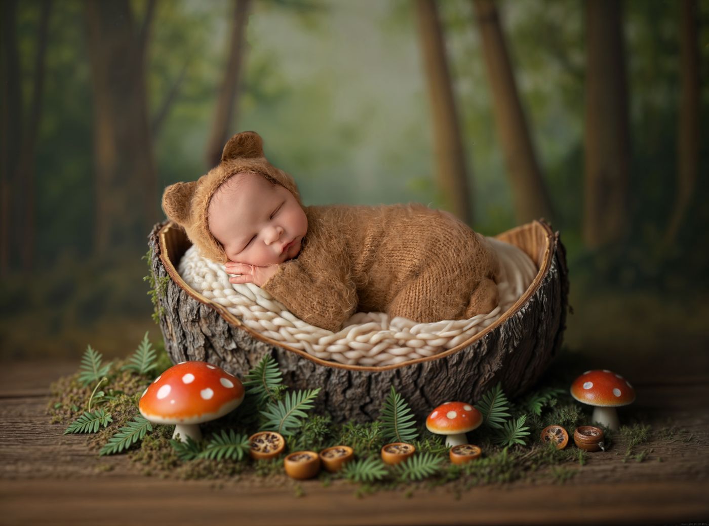 Woodland Newborn Photography in Christiana TN