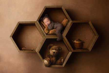honey bee bear.jpg