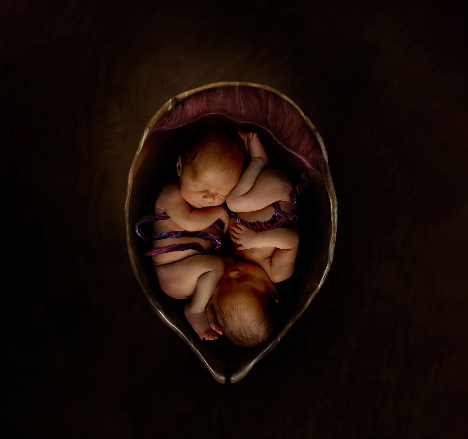 Godwin Twins Womb 2.jpg