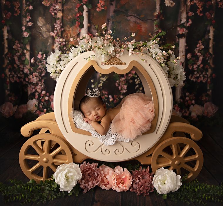 Newborn Princess Carriage Portrait-Kelly Saxon Photography