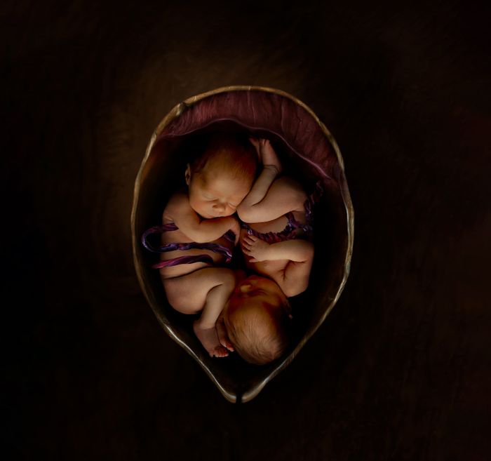 Godwin Twins Womb 2.jpg