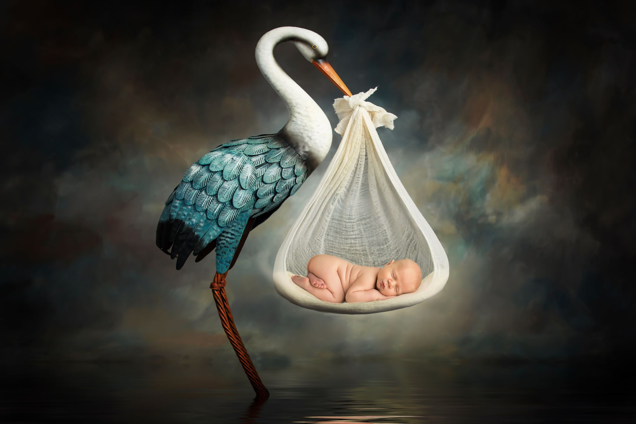 Stork Boy.JPG