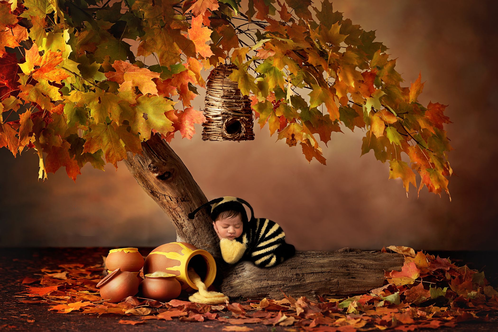 Rafatnia Newborn Bee under tree.jpg