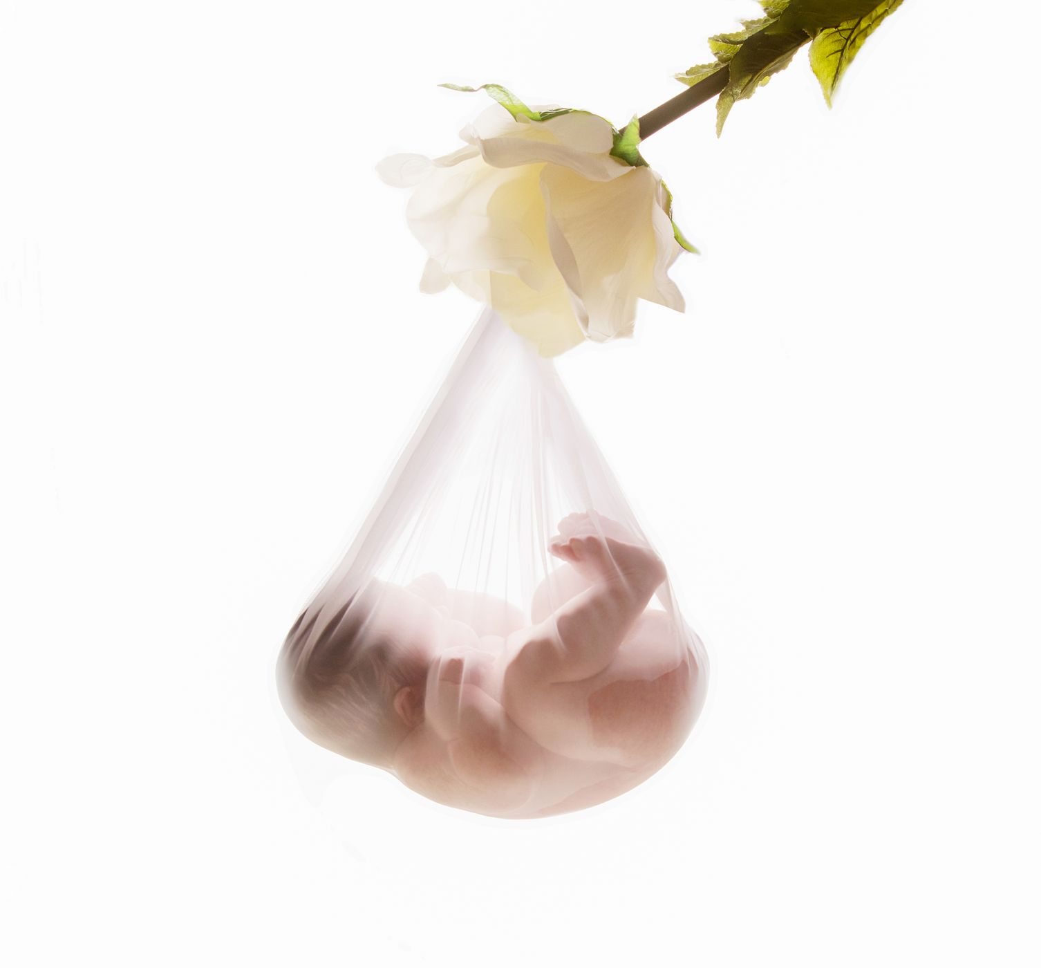 CB1A5681 with flower 2.jpg