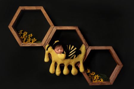 Raftinia Newborn Bee.jpg