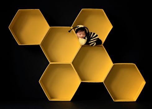 Newborn baby dressed as a bee posed inside yellow honeycomb boxes on a dark background, photographed by Kelly Saxon Photography in Christiana TN Bee themed Newborn Photography Murfreesboro TN Kelly Saxon Photography