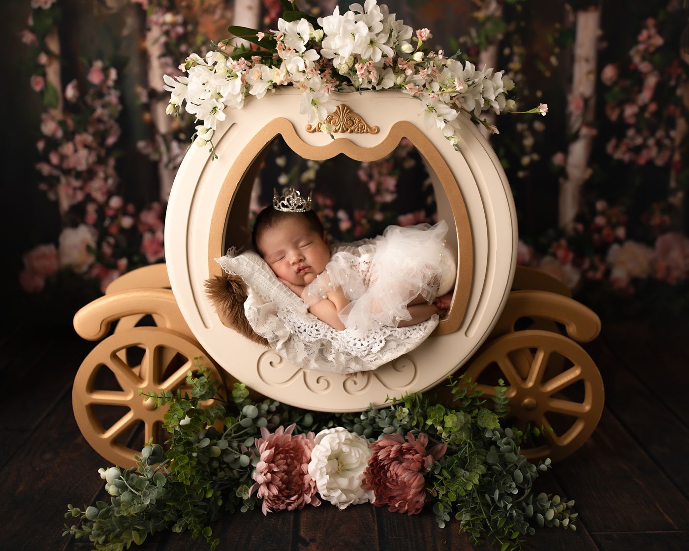 Princess Carriage NEwborn Photography Christian TN