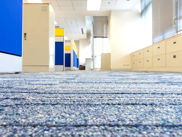  A close up of a building’s clean carpets.