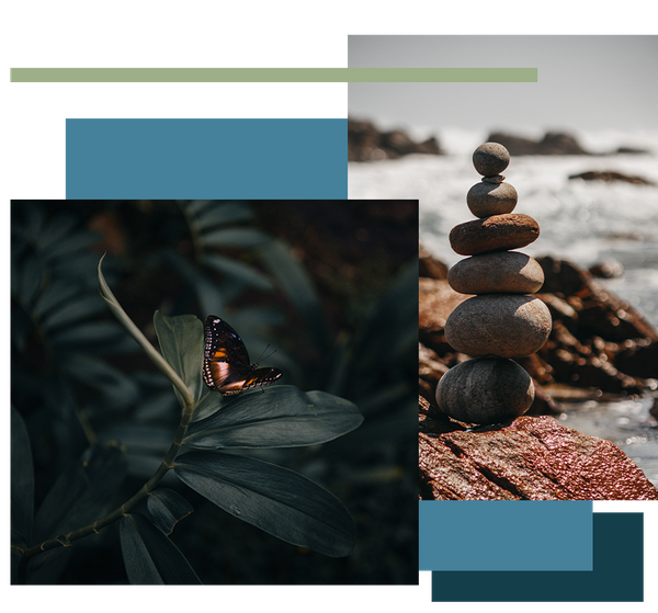 butterfly and cairn