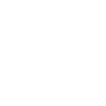 money bag icon