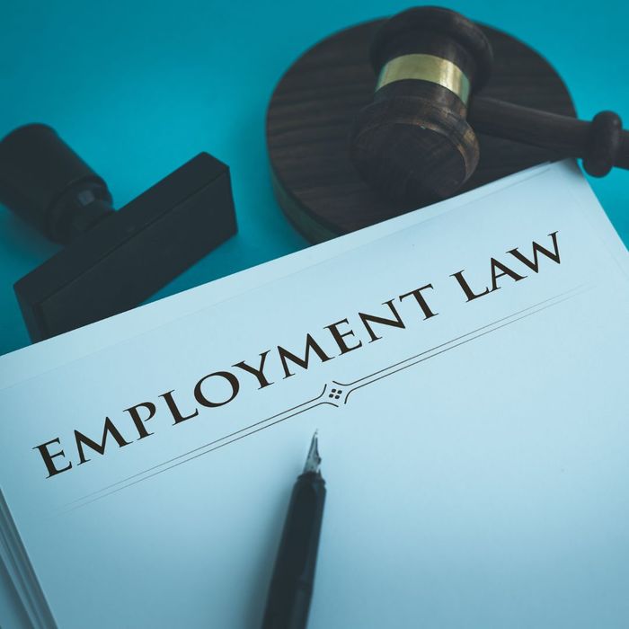 document titled "employment law"