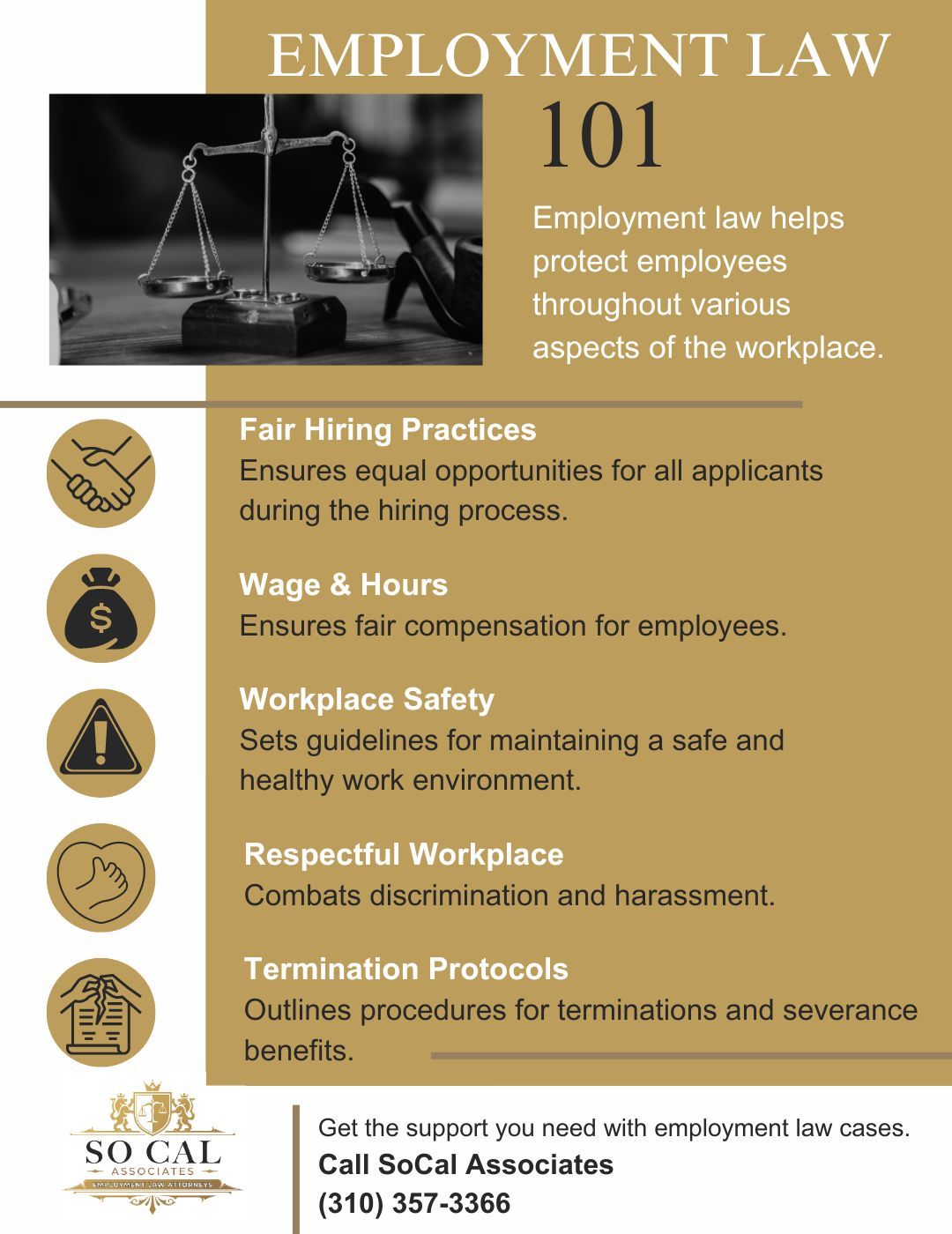 Employment Law 101 infographic