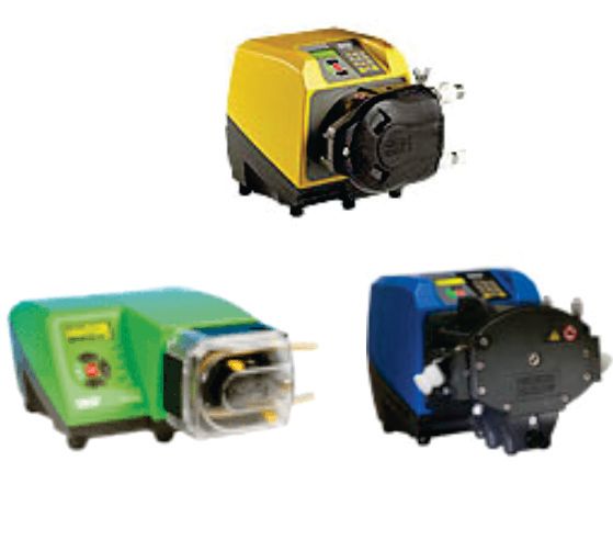 WM567pumps.jpg