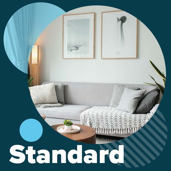 Standard Living Room Clean