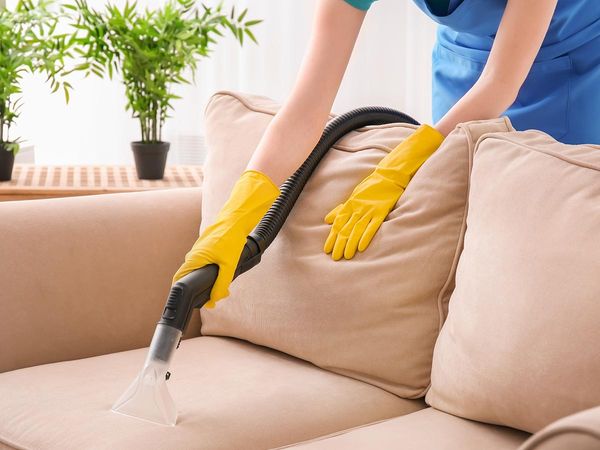 Woman cleaning sofa upholstery