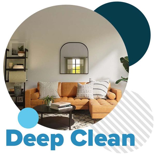 Deep Clean Living Room 