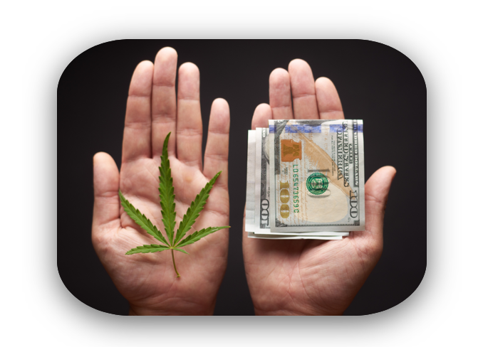 Person holding marijuana leaf and money