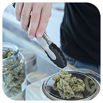 Cannabis dispensaries