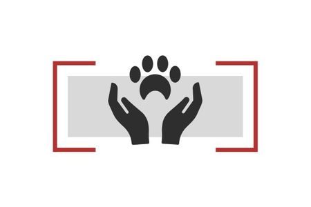 Pet-Friendly & Kid-Safe Lawns