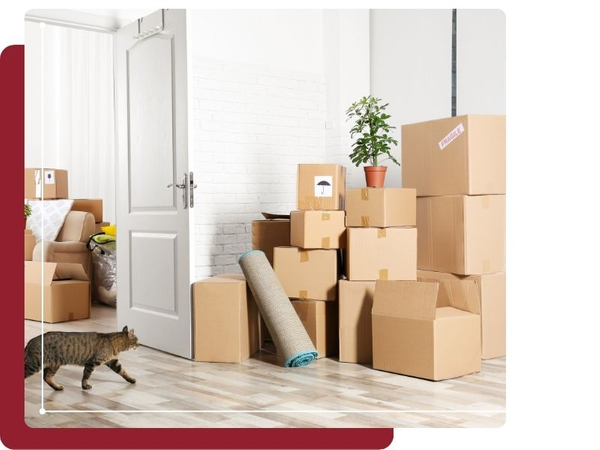 boxes lined up in a home Residential Moving (2).jpg